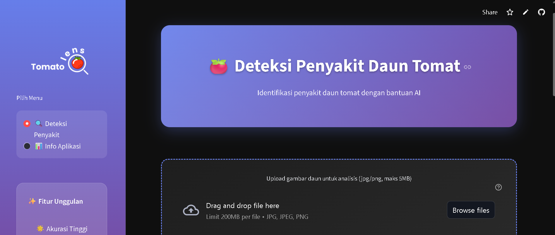 Streamlit Interface